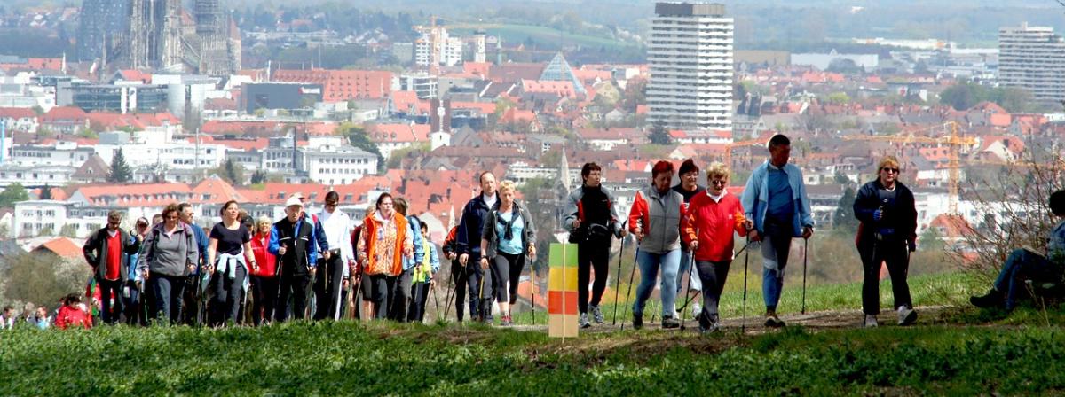 Nordic-Walking-Stöcke Vergleich