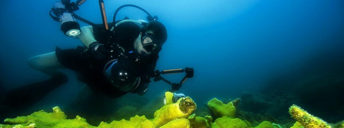 Unterwasser-Kamera Vergleich