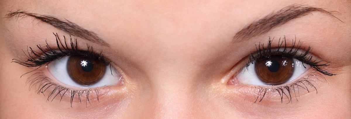 Augenbrauen Pinzette Vergleich und Tipps