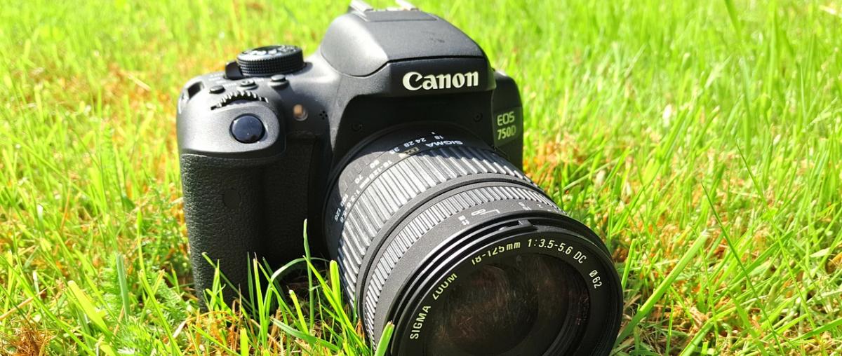 Canon EOS Digitalkamera Vergleich