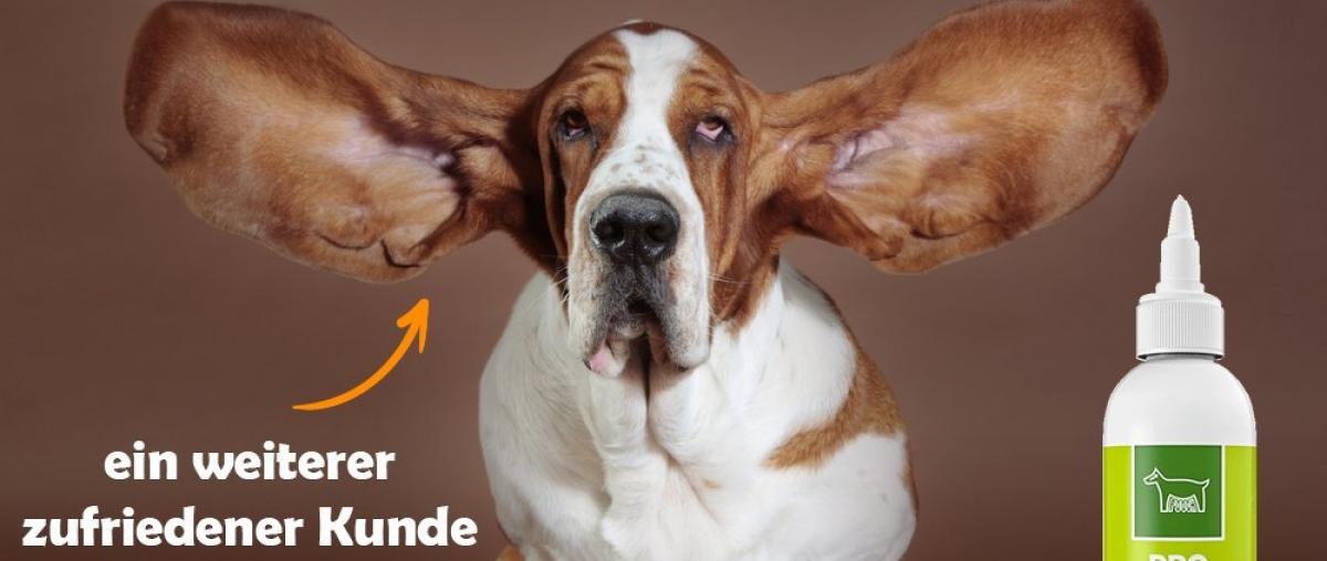 Hunde Ohrenreiniger Vergleich