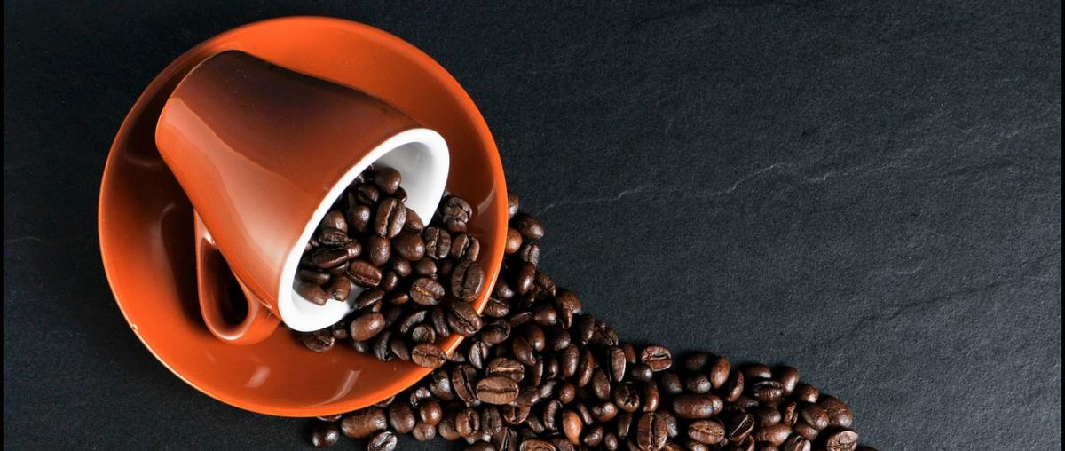 Kaffeeweißer Vergleich