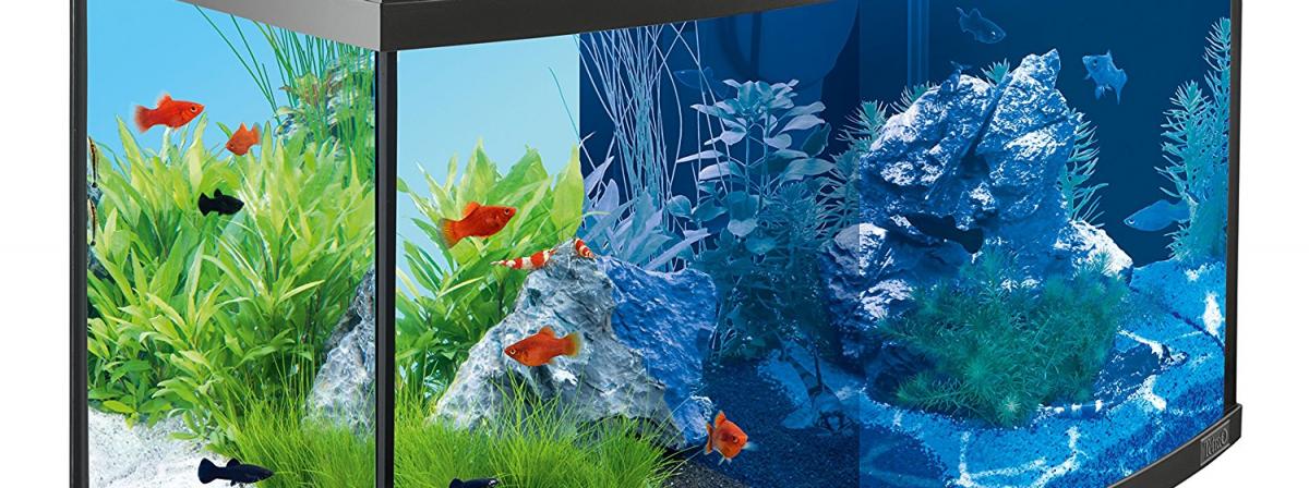 Tetra Aquarium Vergleich