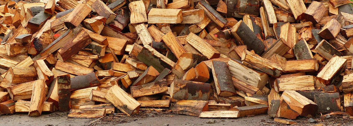 Holz mit dem Holzspalter einfach zum Brennholz und Holzscheite spalten