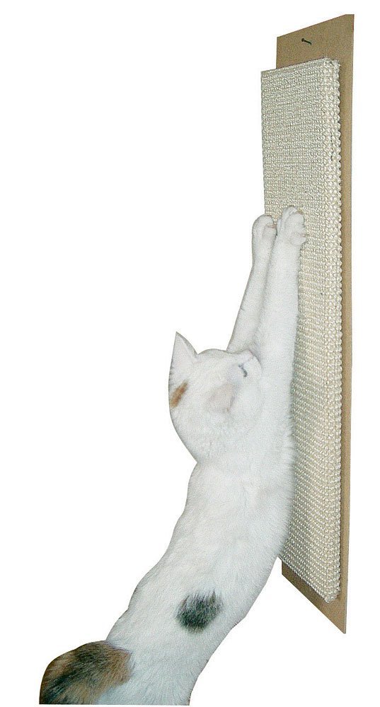 Sisal Kratzbrett - es schützt ihre Möbel und Teppiche gegen die natürliche Kratzgewohnheit ihrer Katze