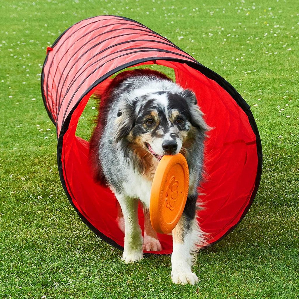 Spiel- und Spaß-Tunnel für Hunde