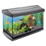 Aquarium Bestseller