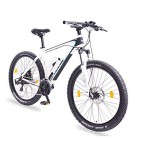 E-Bike Bestseller