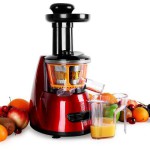 Slow Juicer Bestseller