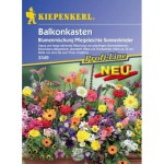 Blumensamen Bestseller