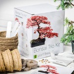 Bonsai Bestseller