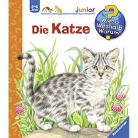 Katzen Kinderbuch Bestseller