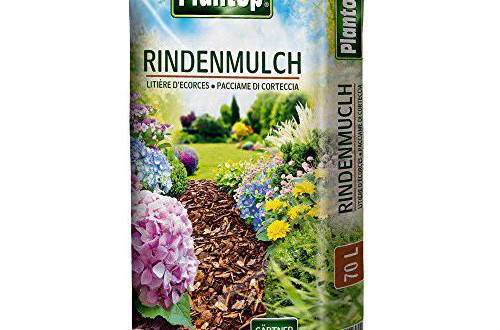 Rindenmulch Test & Vergleich › Testberichte 2020