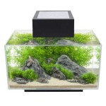 Fluval Aquarium Bestseller