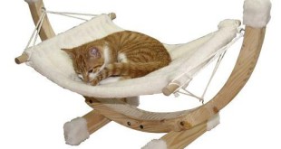 Katzen Hängematte Bestseller