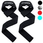 Fitness Straps Bestseller